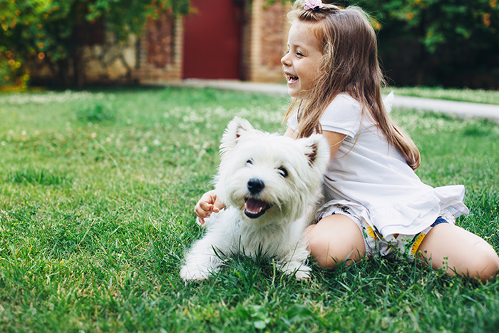 Girl playing with Westie in garden