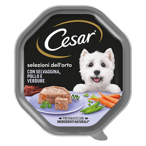 image 402010869_5037095_1666270734459