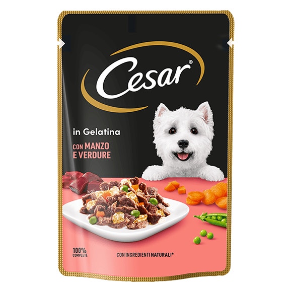 image 402448464_5042662_5042663_en_1666271321353