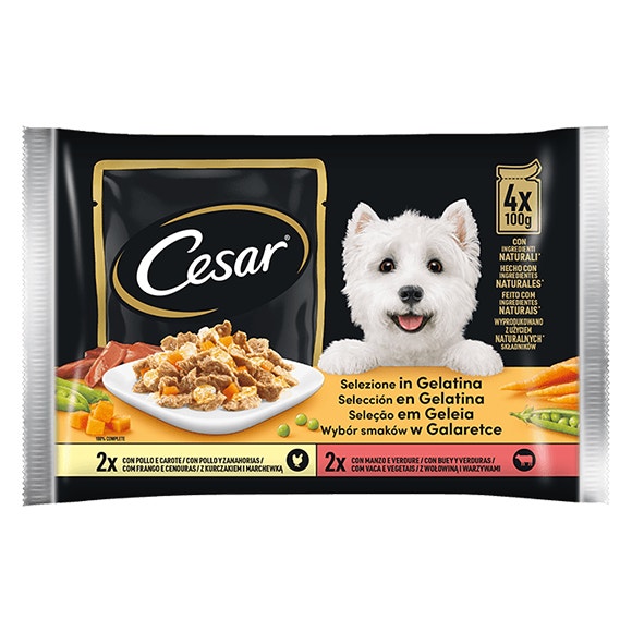 image 402480304_5042763_en_1666271397417