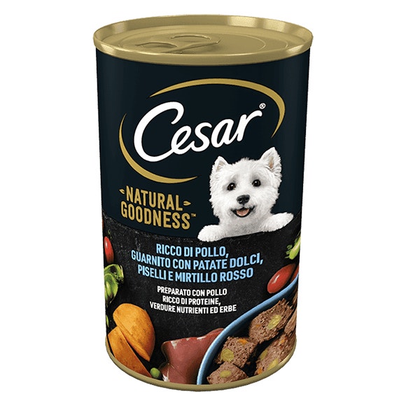 image large_1671119260140