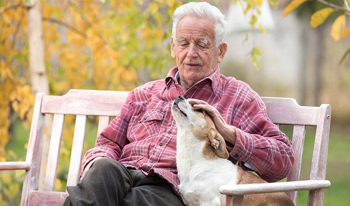 Old man and a dog sitting on bench under the tree