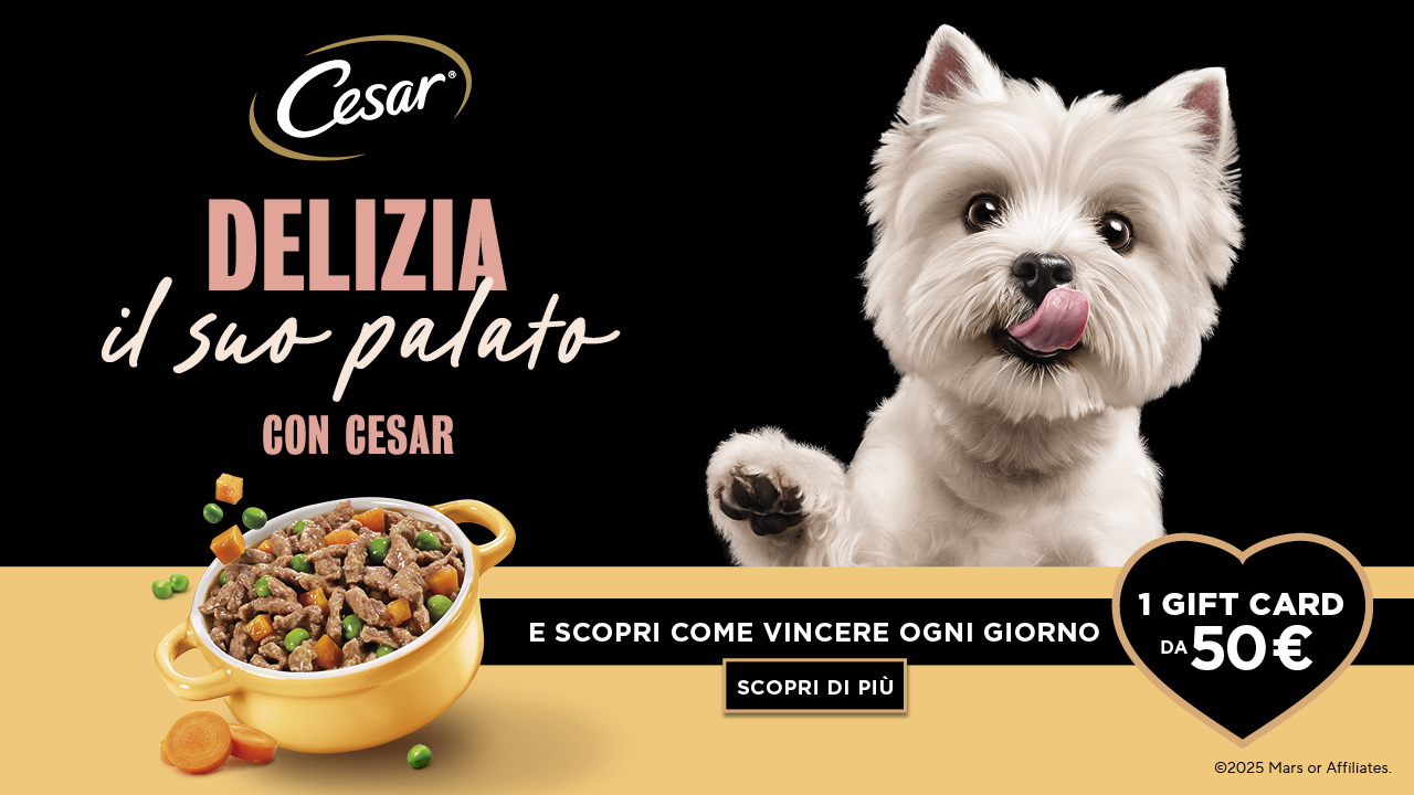 banner with campaign logo