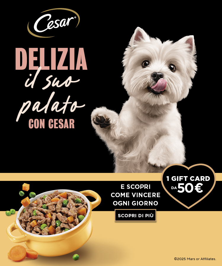 banner with campaign logo