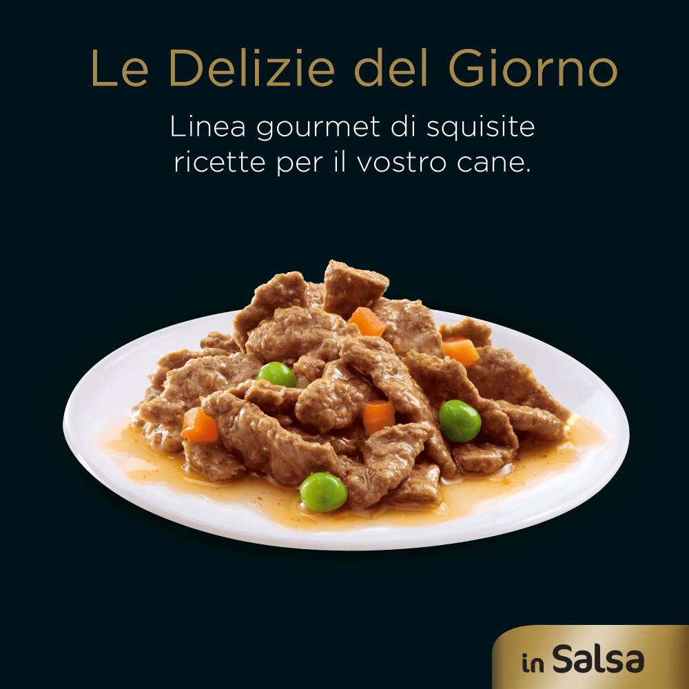 Delizie del Giorno Selezione Salsa x4 image 1
