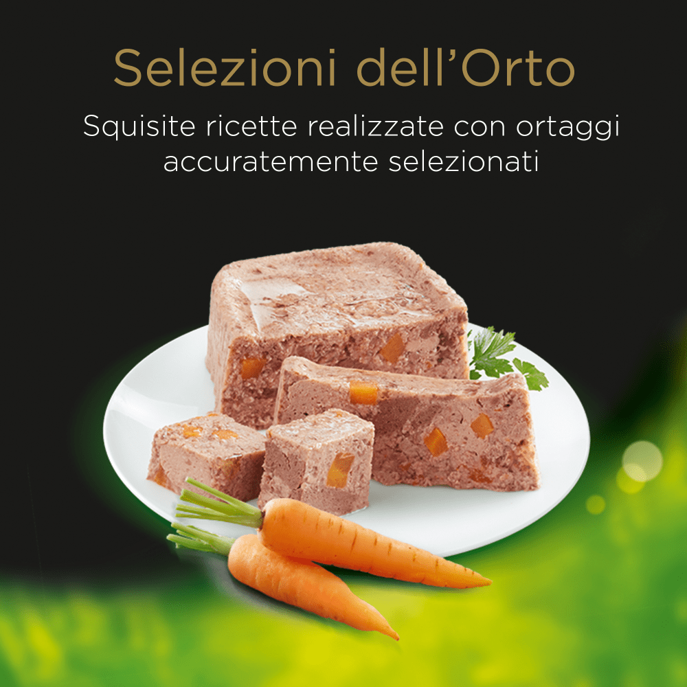 Selezione dell'orto Pollo e Carote image 1