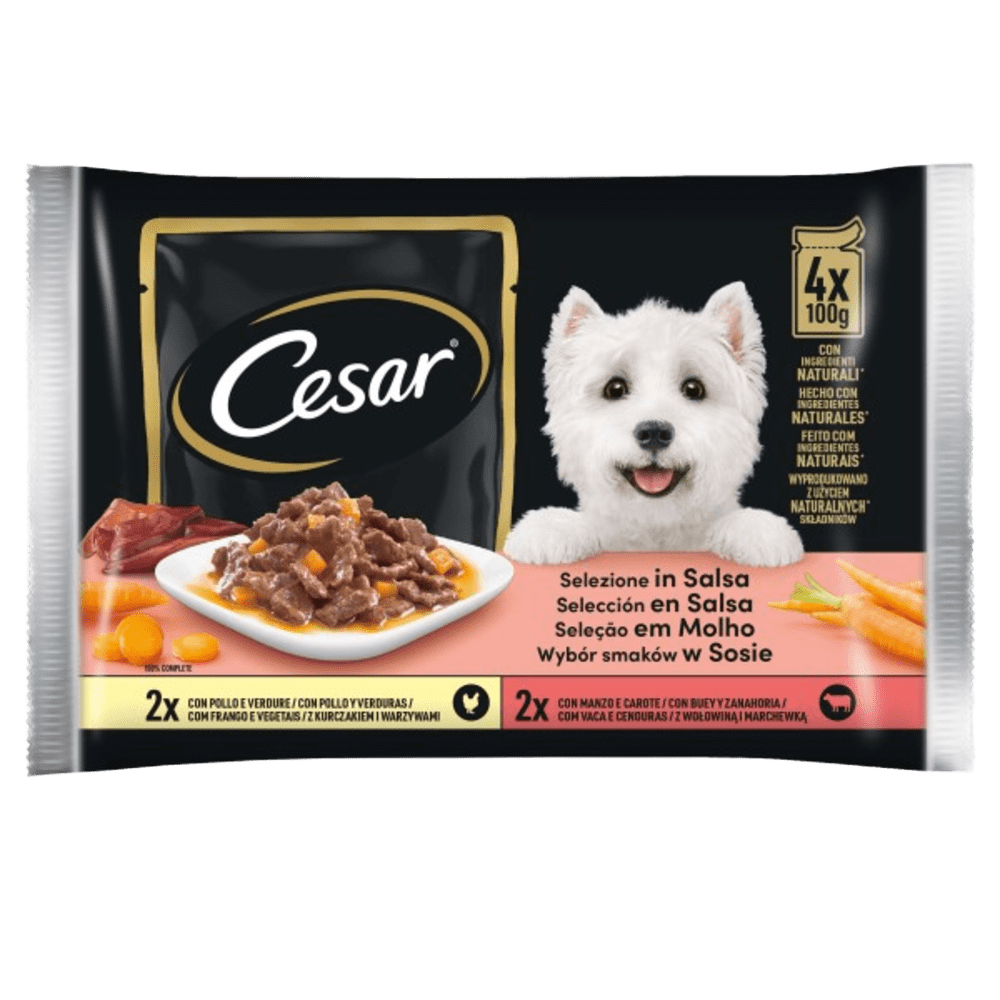 Delizie del Giorno Selezione Salsa x4 image 1