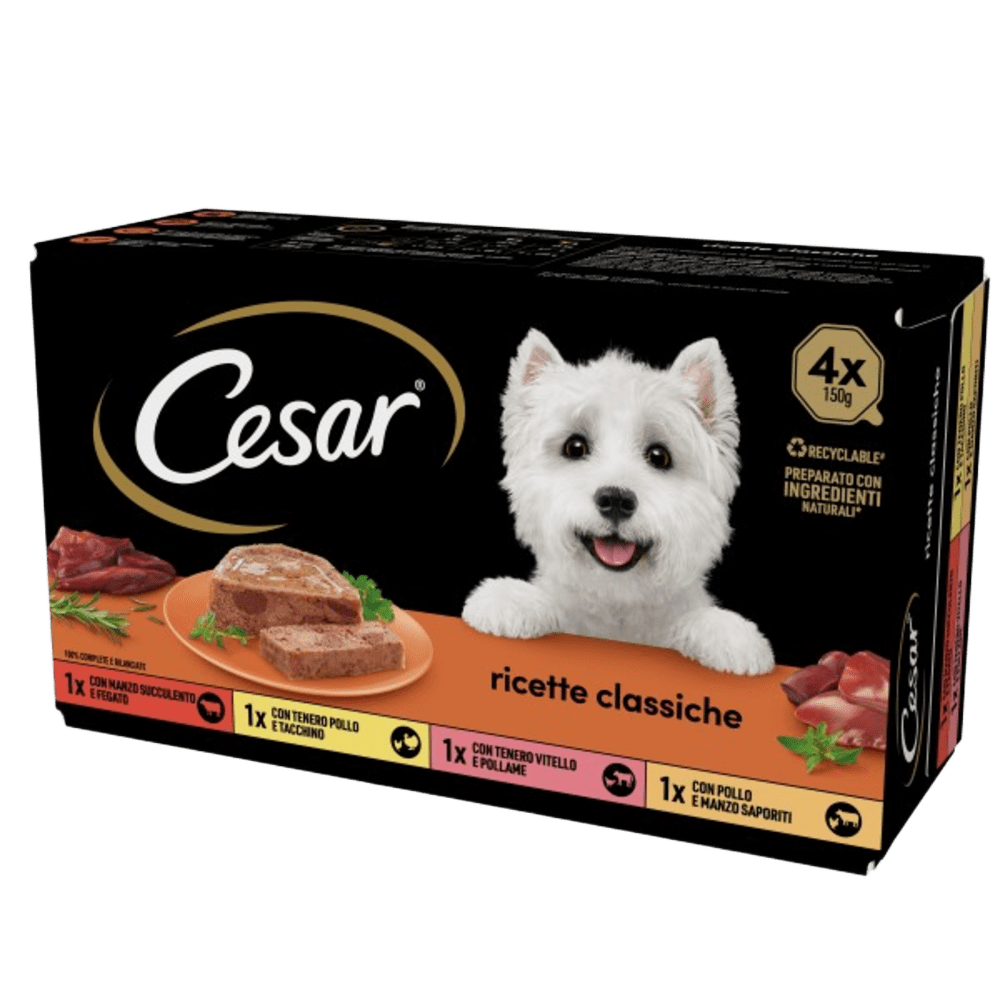 Ricette Classiche x4 image 1