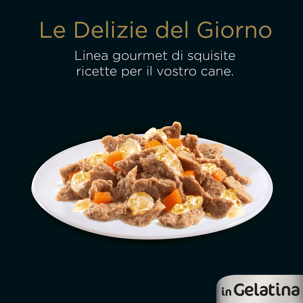 Delizie del Giorno Selezione Gelatina x4 image 1